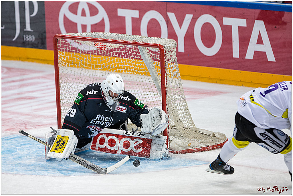 Koelner Haie - Krefelder Pinguine, 22.11.2016